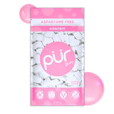 PUR Gum Aspartame Free Chewing Gum for Kids Lunchboxes Allergen Free Spearmint Family Safe Chiclets for After School Snacking