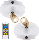 BIGLIGHT Remote Spotlight – Elegant Home Accent Lighting for Living Room Gallery Displays and Indoor Plants, 3000K