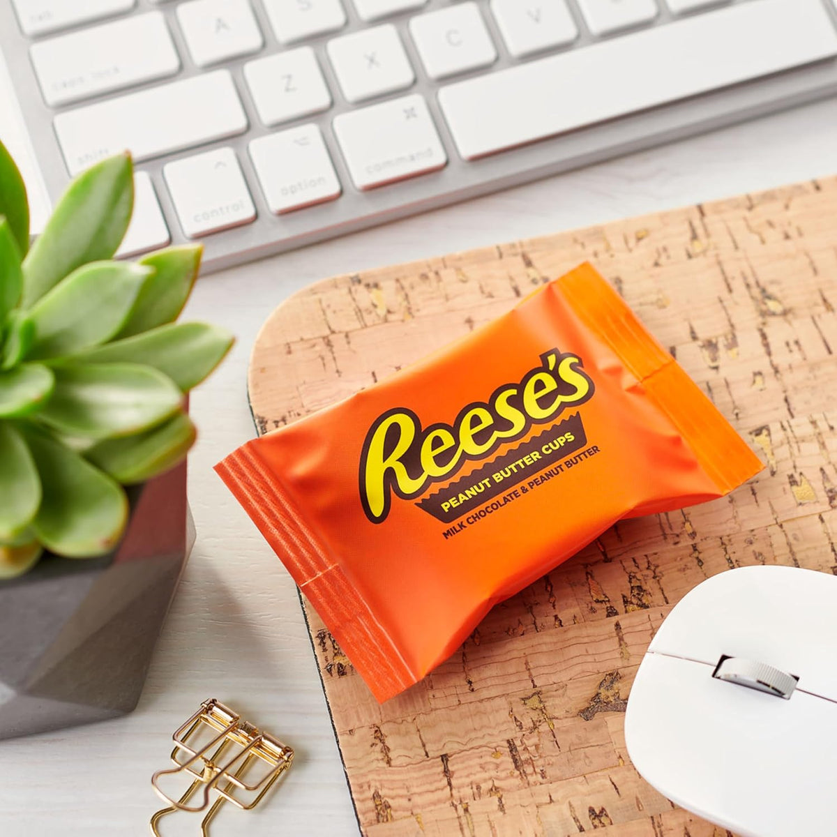 available in two pack configurations: single 1.2 lb bag or 2-pack
