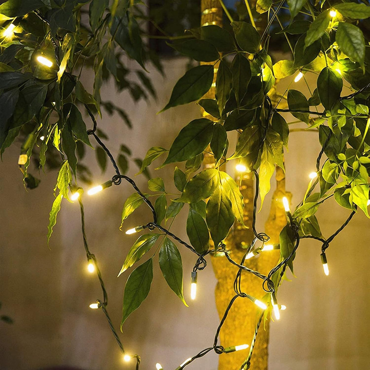 Brightever 35 Ft Christmas String Lights – Gift-Ready Holiday Present for Mom, Hostess & First Apartment Dwellers