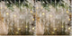 Transparente - 18pcs (Pack of 2)
