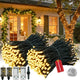 Warm White Voice - 2Pack Total 400LED