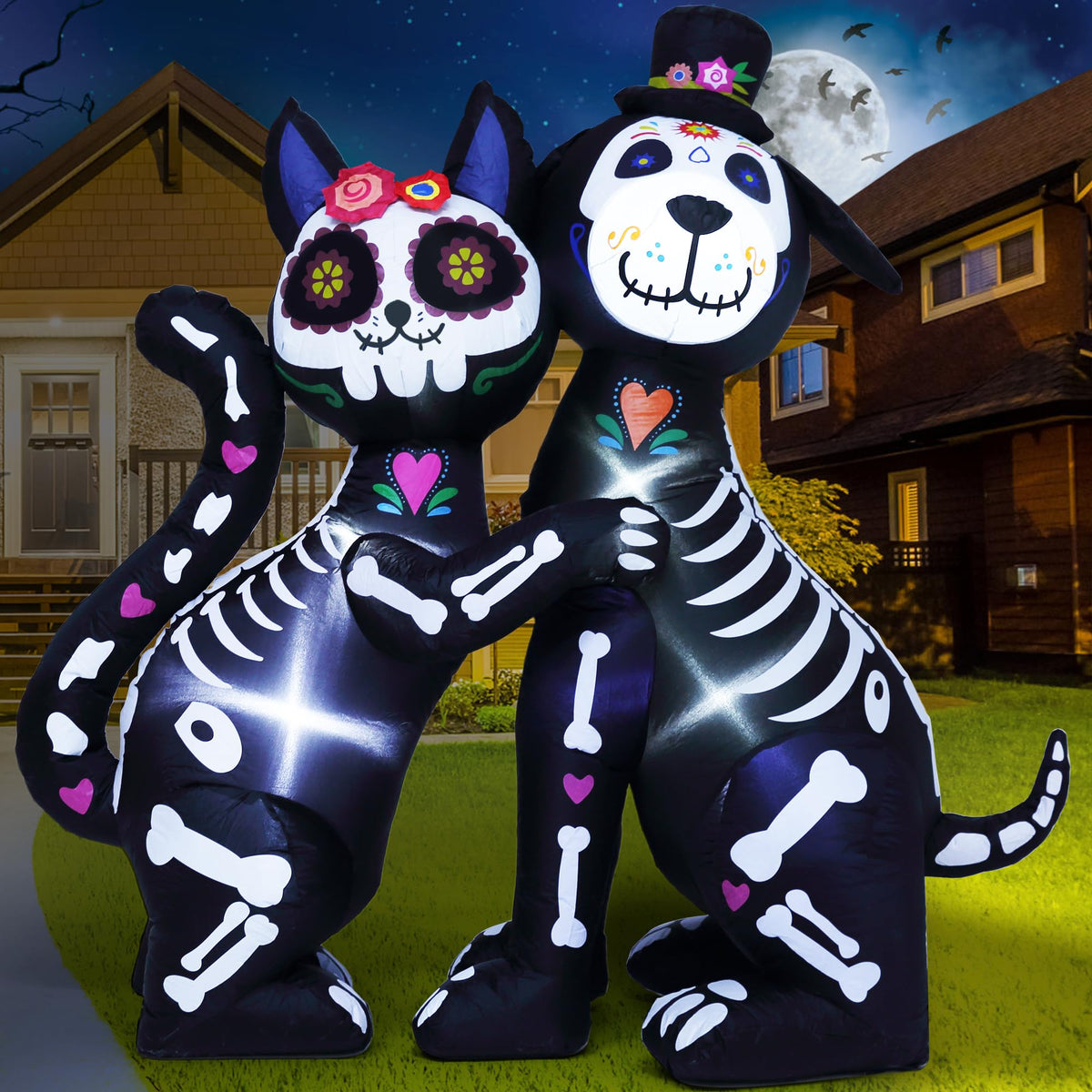 HZIB0CDCDQHT6