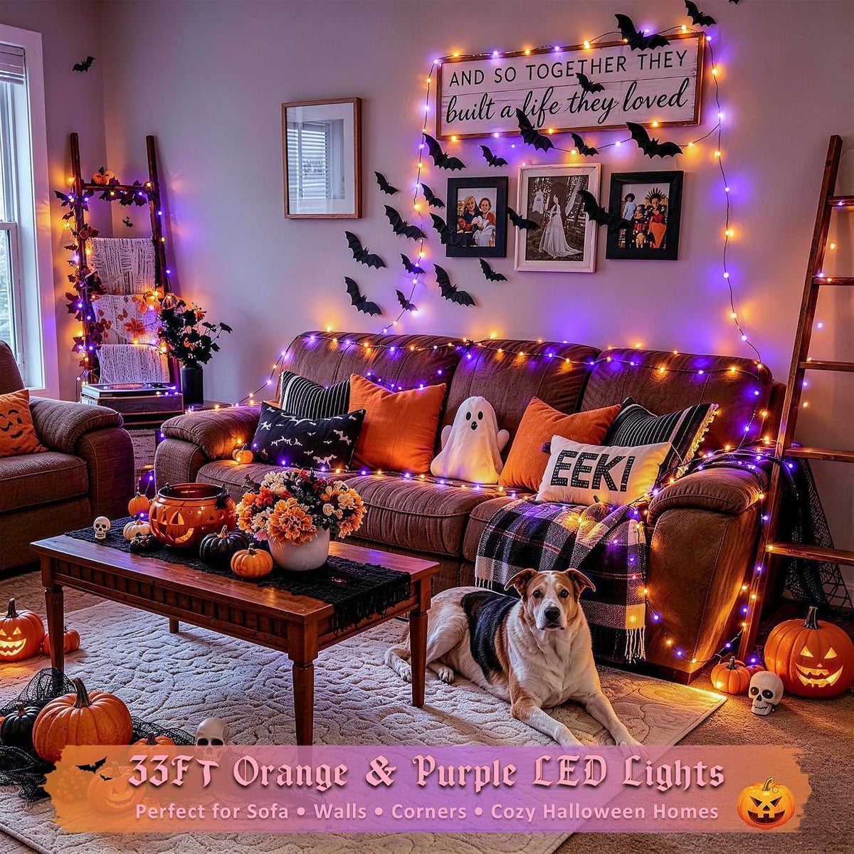 JMEXSUSS Halloween Fairy Lights – Cool-to-Touch Orange Purple String Lights for Kids Bedroom and Playroom