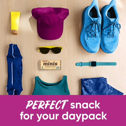 Larabar Minis Office Snack – 110 Calorie Afternoon Energy Boost for Desk Drawers, 30 Mini Bars