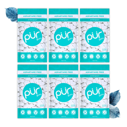 PUR Gum | Aspartame Free Chewing Gum | 100% Xylitol | Natural Wintergreen Flavored Gum, 55 Pieces (Pack of 6)