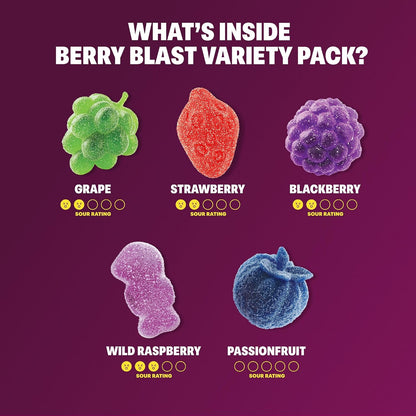 Shameless Snacks Berry Blast Gummy Candy – Gluten-Free Lunchbox Snack Safe for School and Home