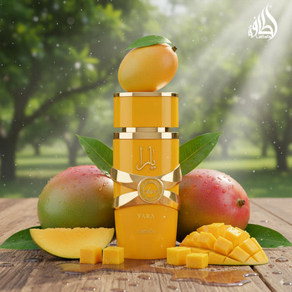 six product variations including amber fruity, sweet, amber wood, amber vanilla, and a curated gift set