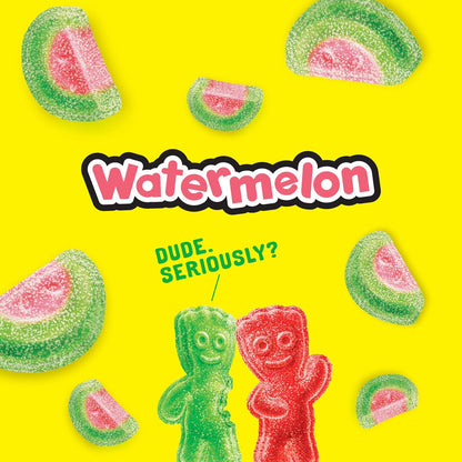 SOUR PATCH KIDS Watermelon Soft Candy – Grab and Go Treats for Sports Practice Bags, Hiking Packs and Beach Days