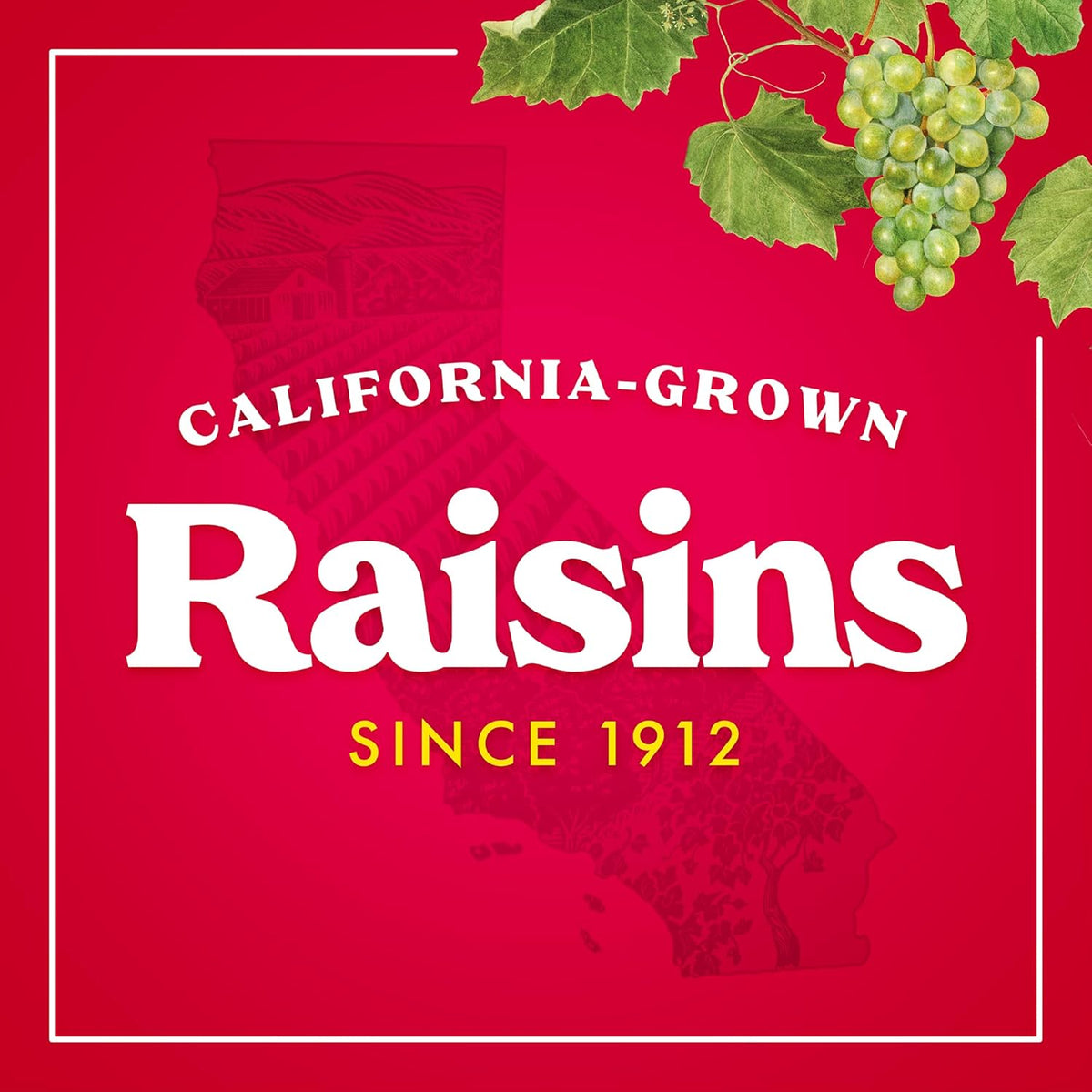 Sun-Maid Vanilla Yogurt Raisins – Portion-Controlled Fruit Snack for Healthy Routines, 6 Single-Serve 1 oz Pouches