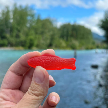 Swedish Fish Soft & Chewy Gummy Candy, Bulk Candy 5 lb for Reception Desk Candy Dishes and Front-Office Visitor Treats