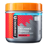 Gatorade Endurance Formula Powder – Mindful Hydration Solution for Athletes Tracking Sodium and Potassium Intake