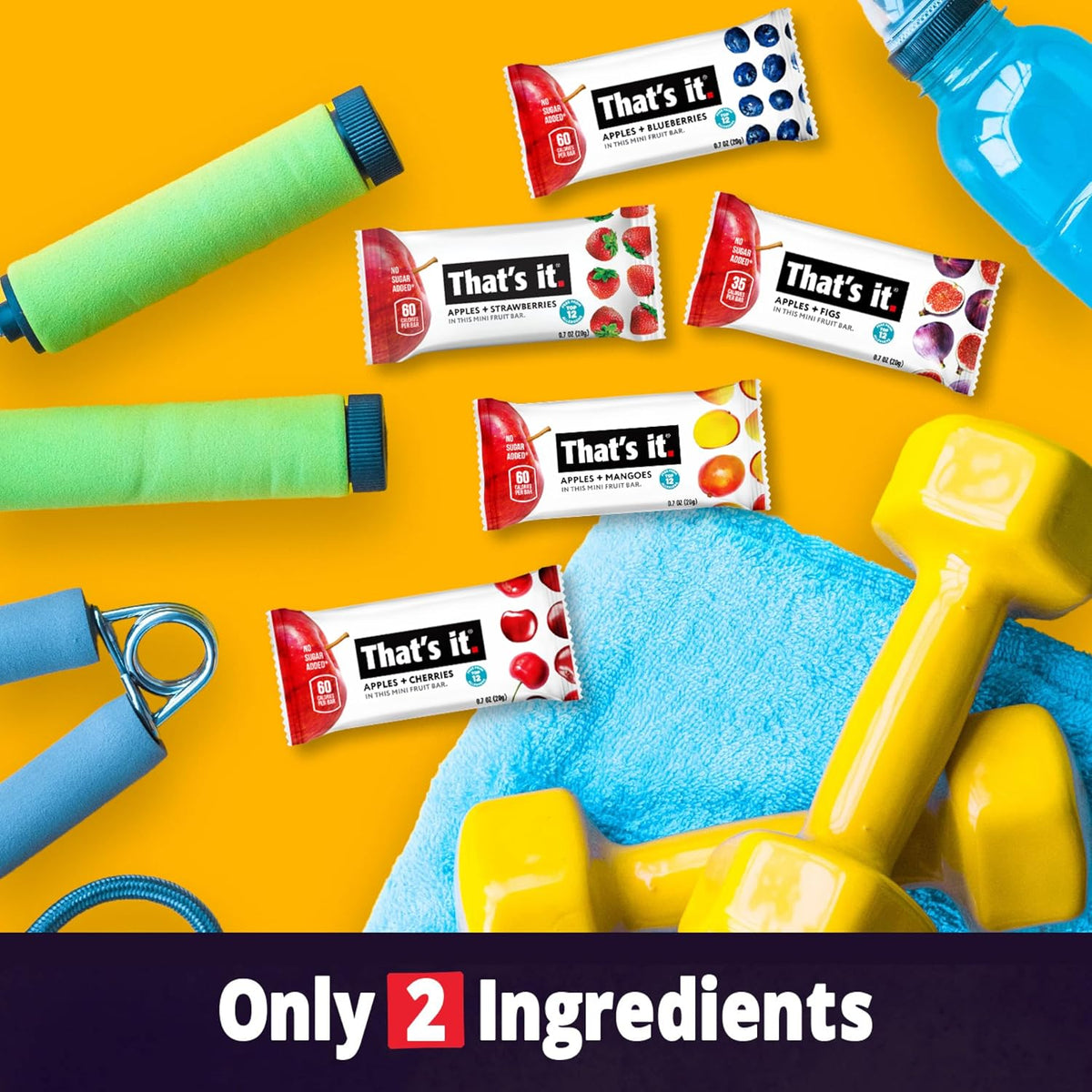 That's it. Mini Fruit Bars – Nut-Free Lunchbox Snack for School-Aged Kids, Allergy-Safe Two-Ingredient Bar