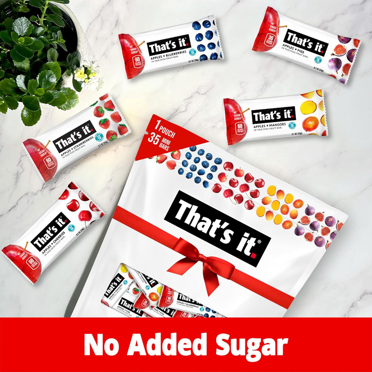 That's it. Mini Fruit Bars – Nut-Free Lunchbox Snack for School-Aged Kids, Allergy-Safe Two-Ingredient Bar