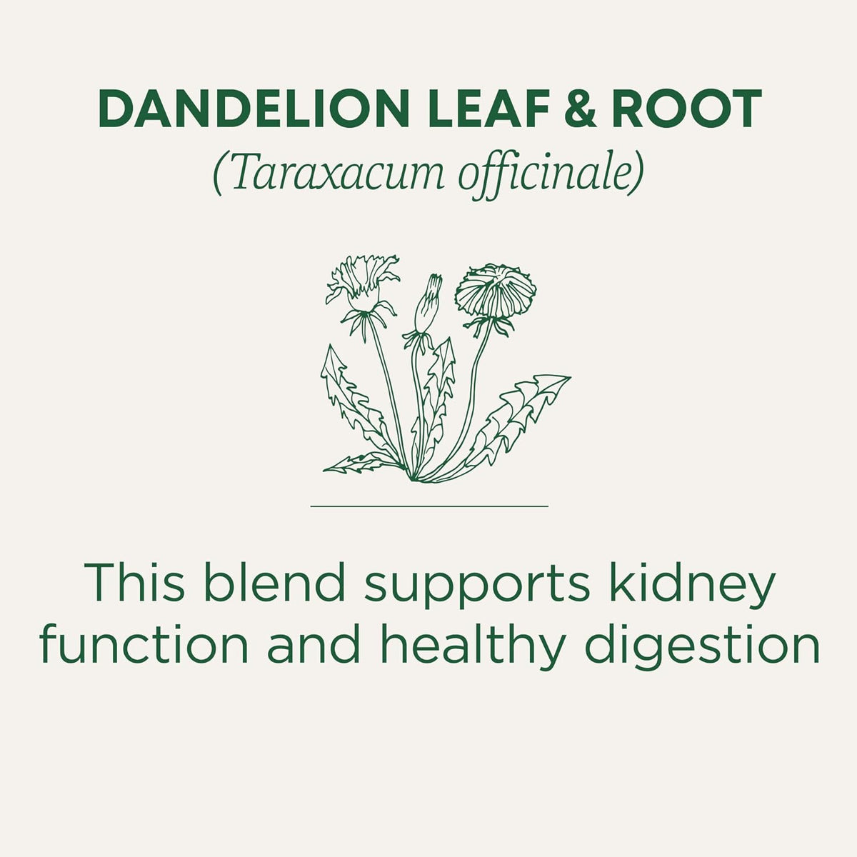 Traditional Medicinals Dandelion Detox Tea – Individually Wrapped Bags for Patio Lounging and Open-Air Sipping