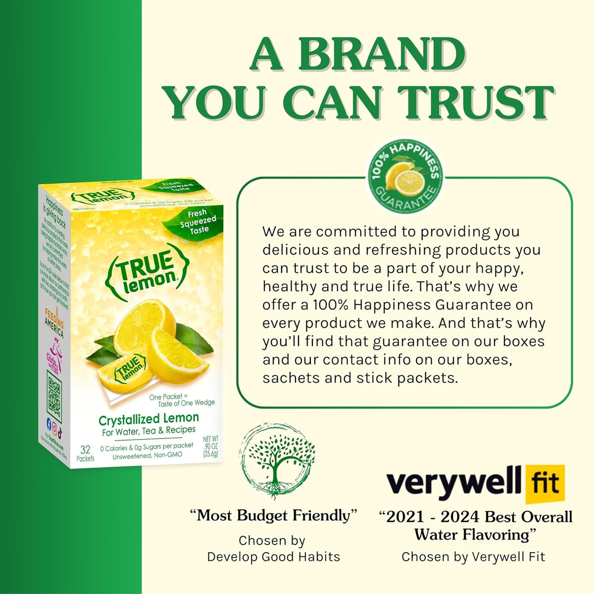 TRUE LEMON Water Enhancer – Single-Serve Lemon Packets for Focused Home Office Hydration, 500 Count Bulk