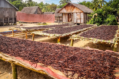 Vanilla Extract Co. Tahitian Vanilla Beans – Premium Pods for the Discerning Home Pastry Chef
