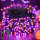 Purple & Orange - 100 LED