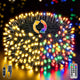 Warm White & Multicolored - 400 LED