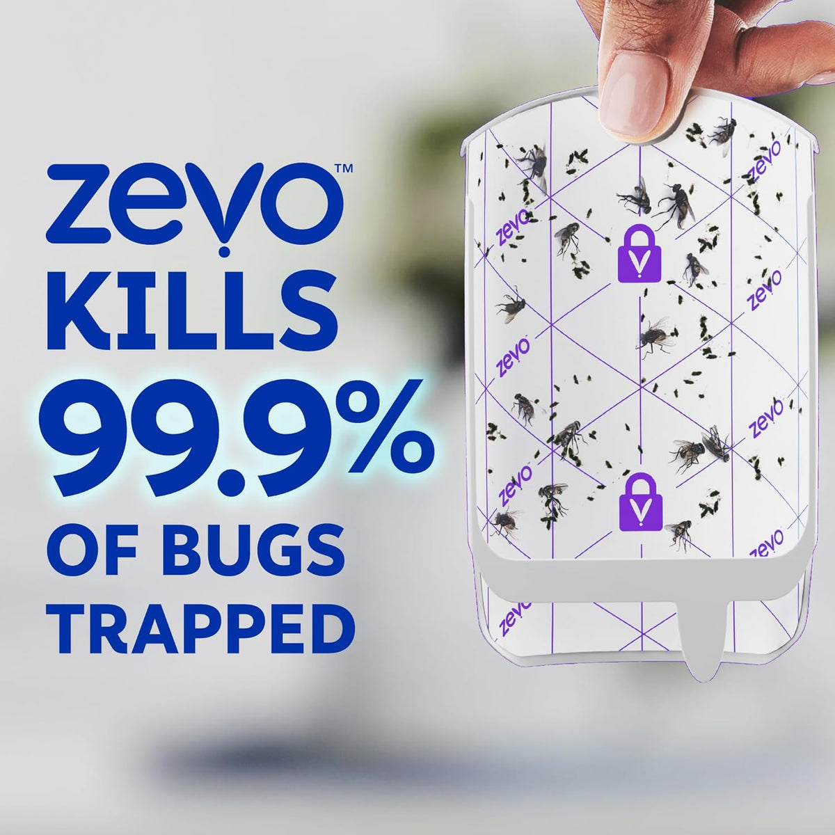 Zevo Fungus Gnat Trap – Household Bug Catcher for Indoor Herb Garden Near Kids' Snack Spot, Pet and Child Aware