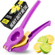 05 - Purple & Yellow